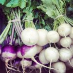 Photo courtesy of In Good Heart Farm (turnips: EAT the greens too!)