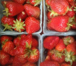 in-good-heart-farm-strawberry-close-up