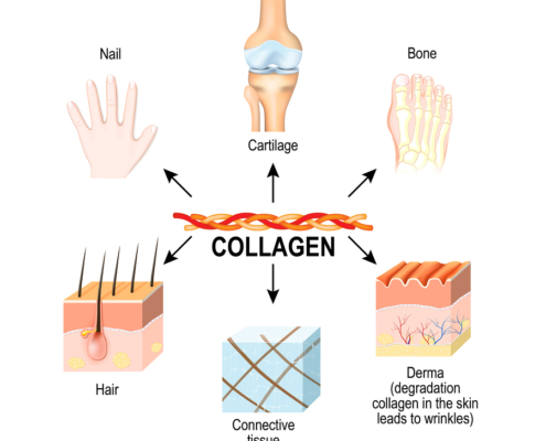 collagen